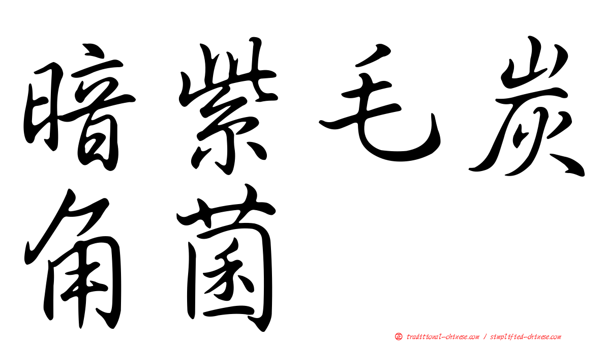暗紫毛炭角菌