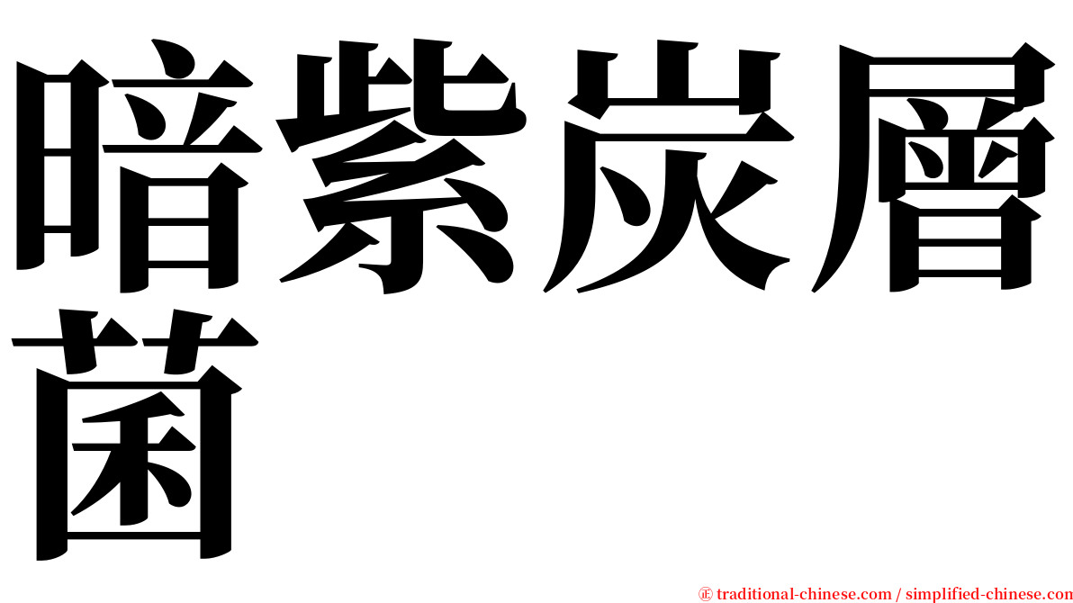 暗紫炭層菌 serif font
