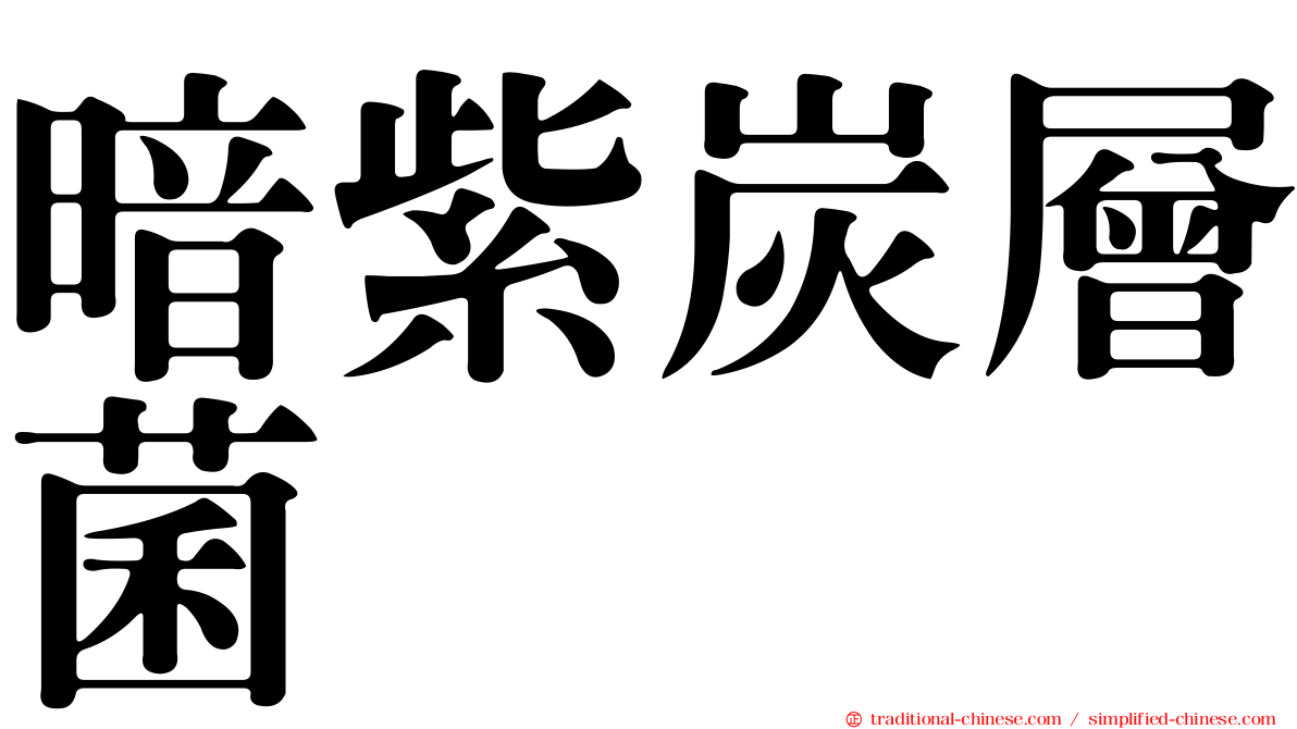 暗紫炭層菌