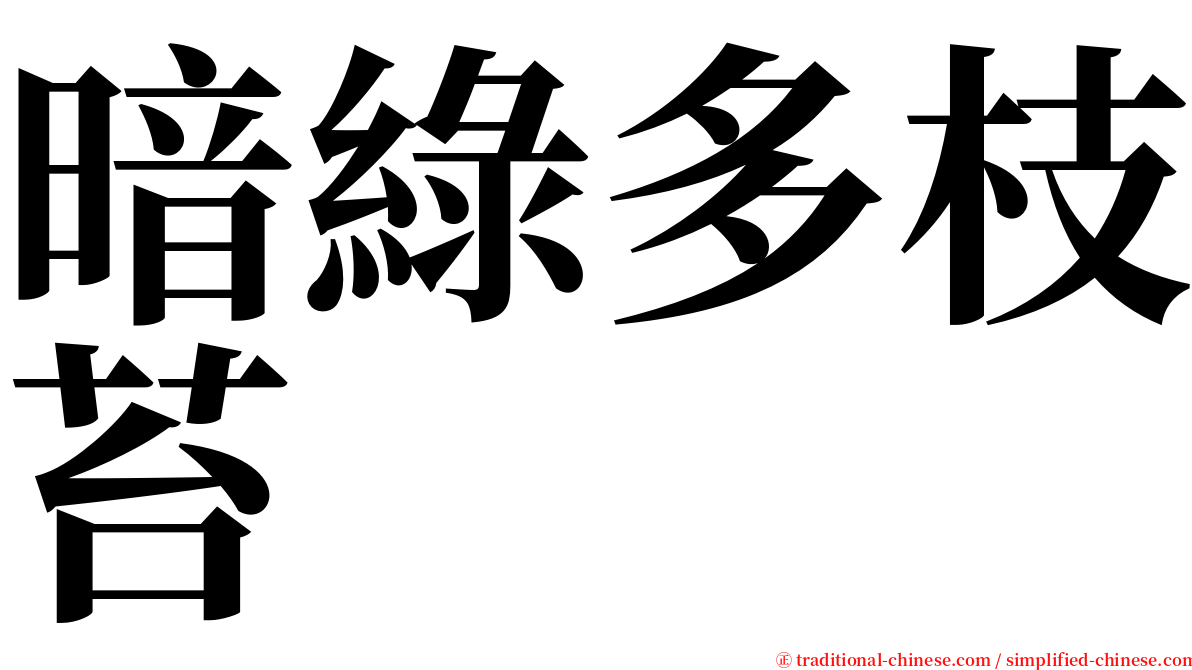 暗綠多枝苔 serif font