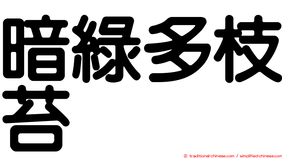 暗綠多枝苔
