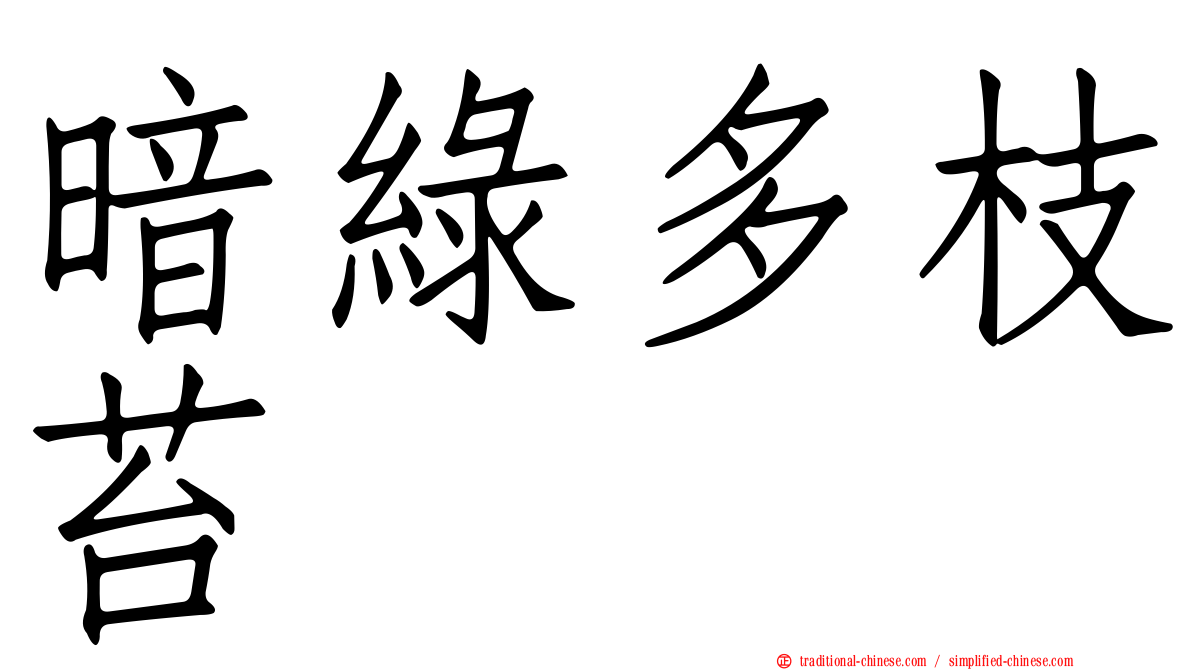 暗綠多枝苔