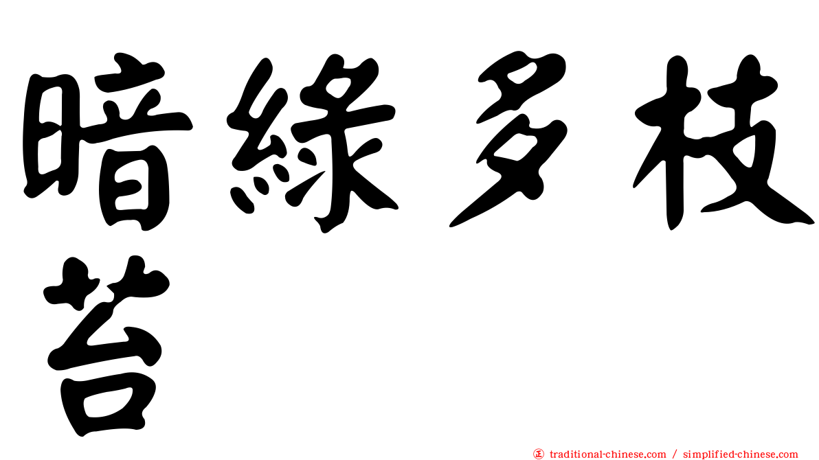 暗綠多枝苔