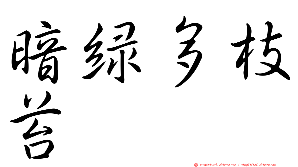 暗綠多枝苔