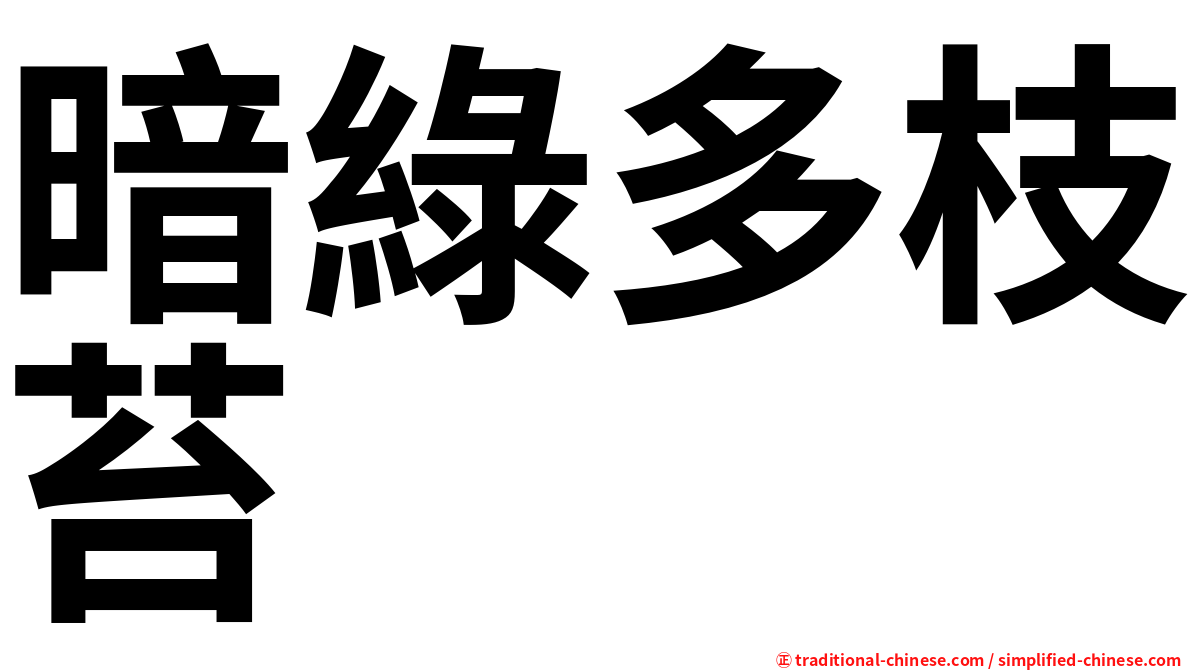 暗綠多枝苔