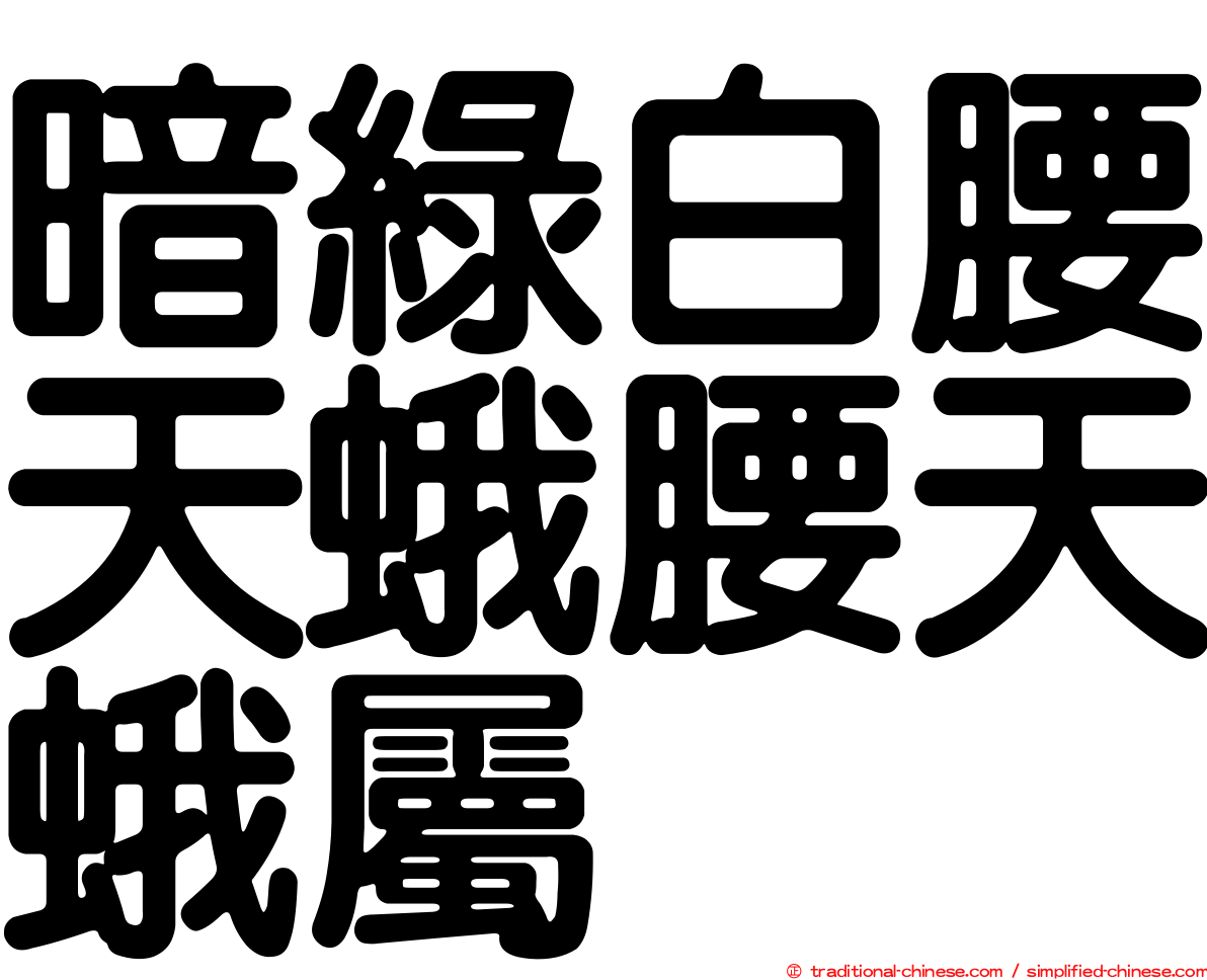 暗綠白腰天蛾腰天蛾屬