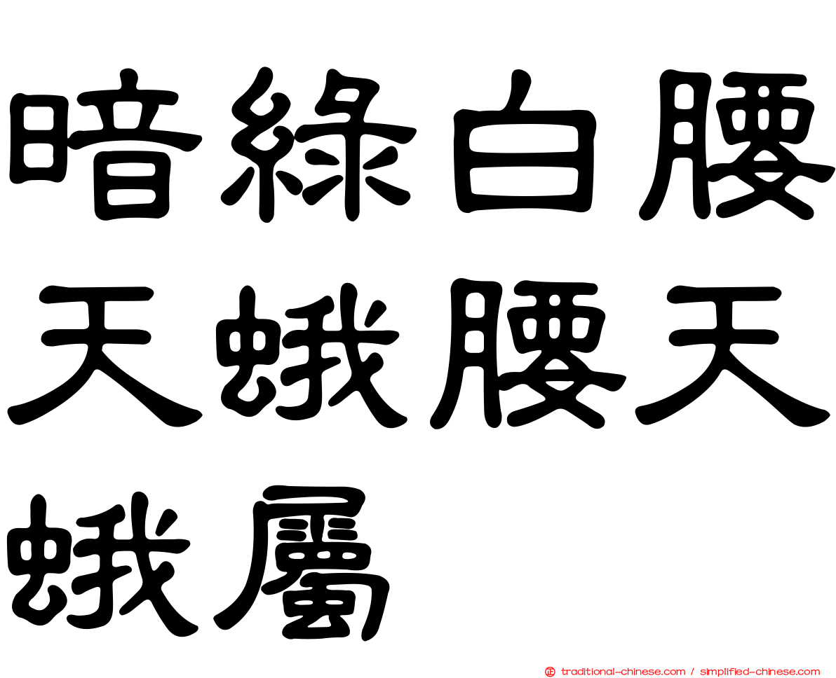 暗綠白腰天蛾腰天蛾屬