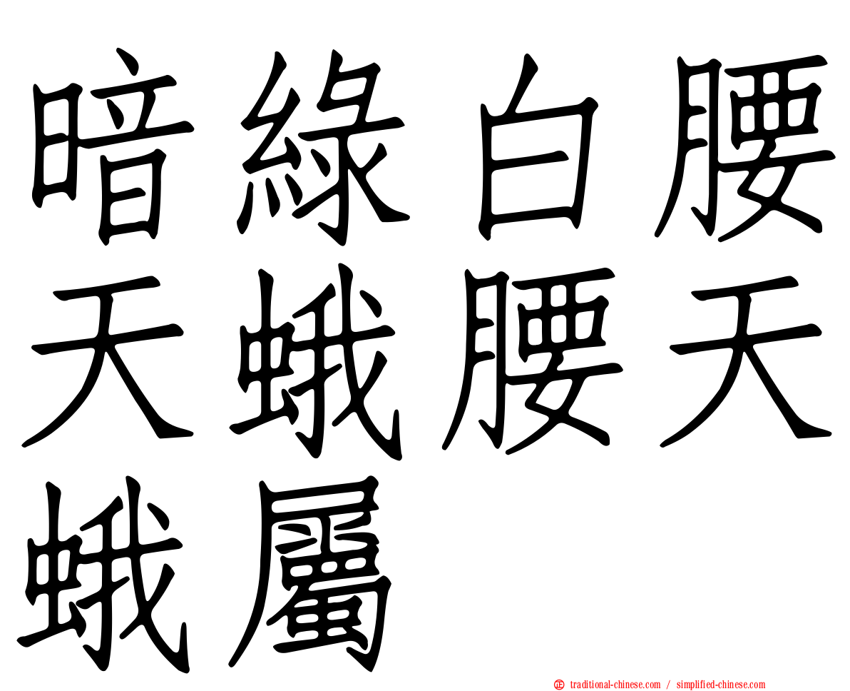 暗綠白腰天蛾腰天蛾屬