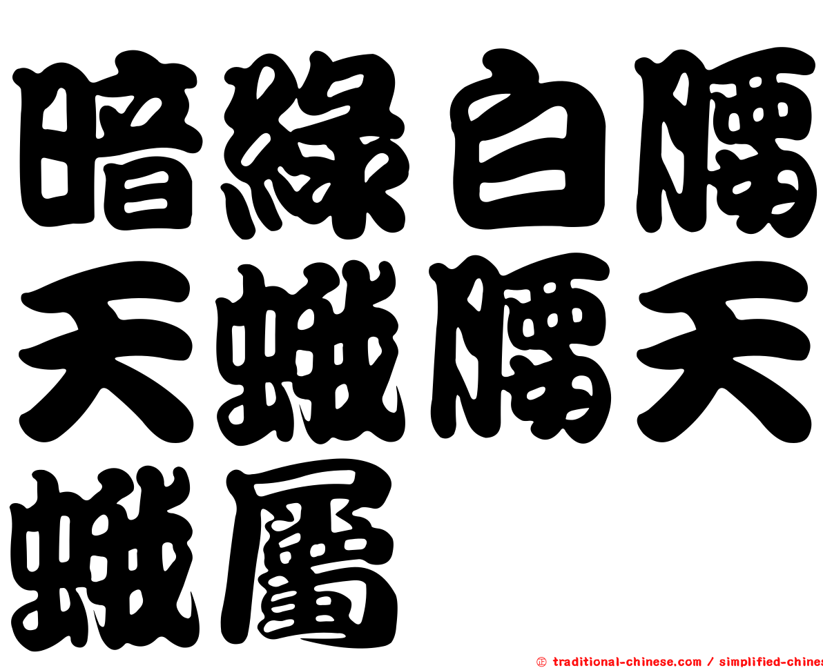 暗綠白腰天蛾腰天蛾屬