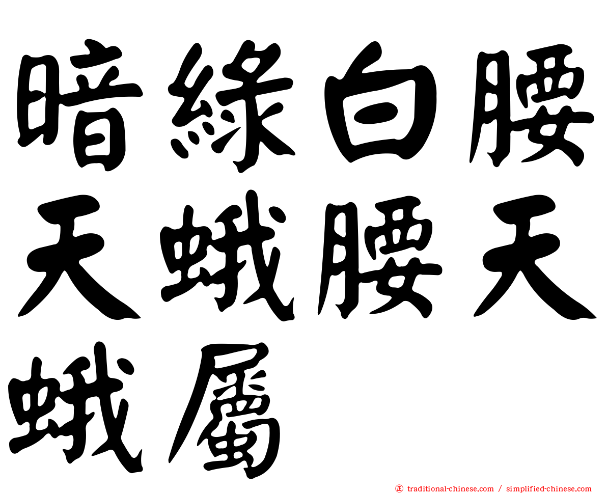 暗綠白腰天蛾腰天蛾屬