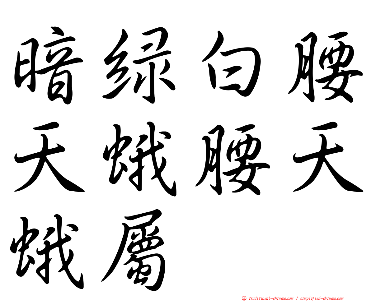暗綠白腰天蛾腰天蛾屬