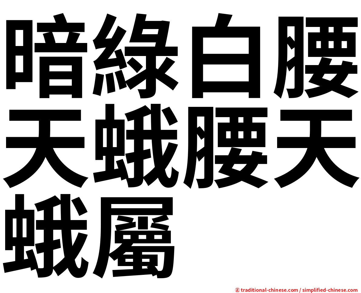 暗綠白腰天蛾腰天蛾屬