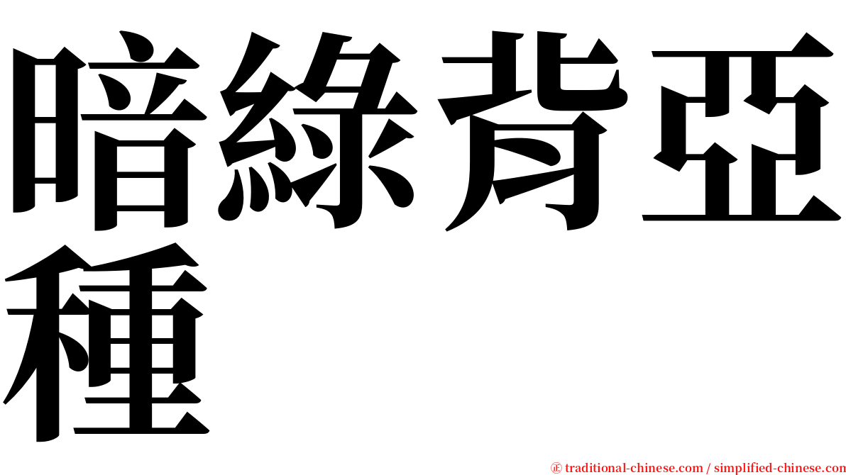 暗綠背亞種 serif font