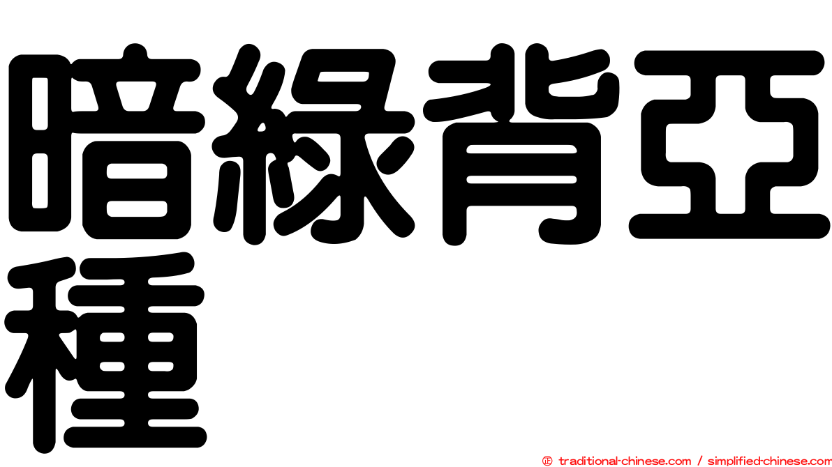 暗綠背亞種