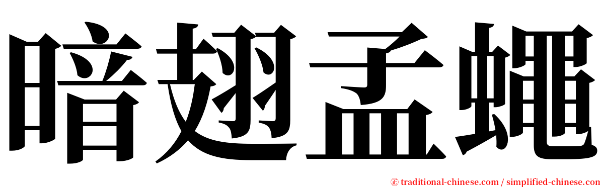 暗翅孟蠅 serif font