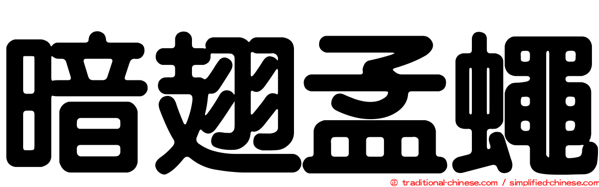 暗翅孟蠅