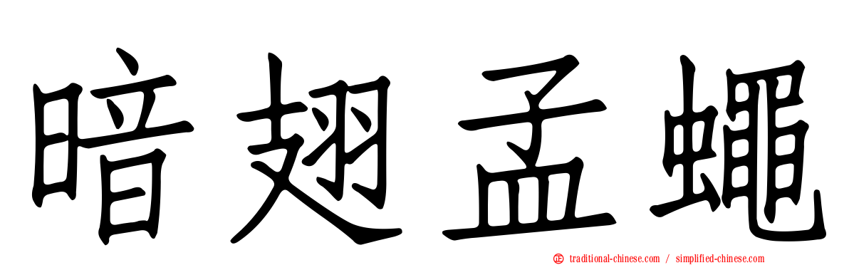暗翅孟蠅