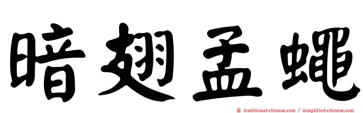 暗翅孟蠅