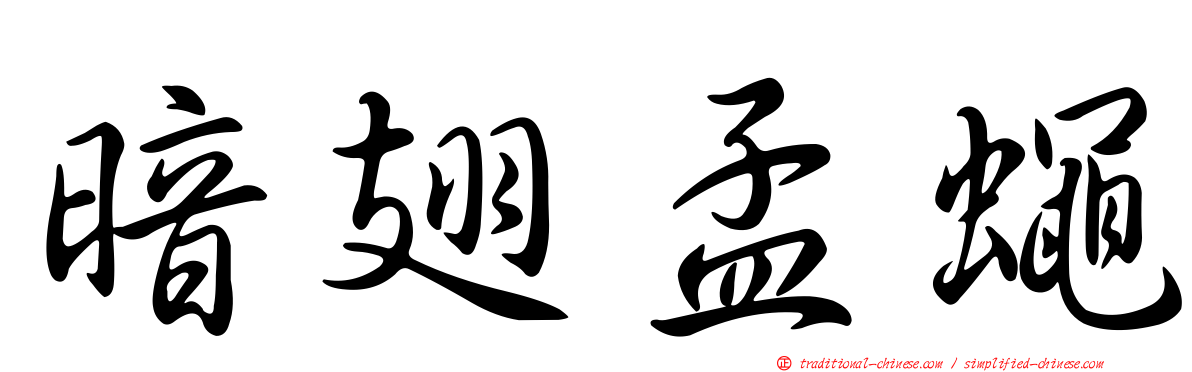 暗翅孟蠅