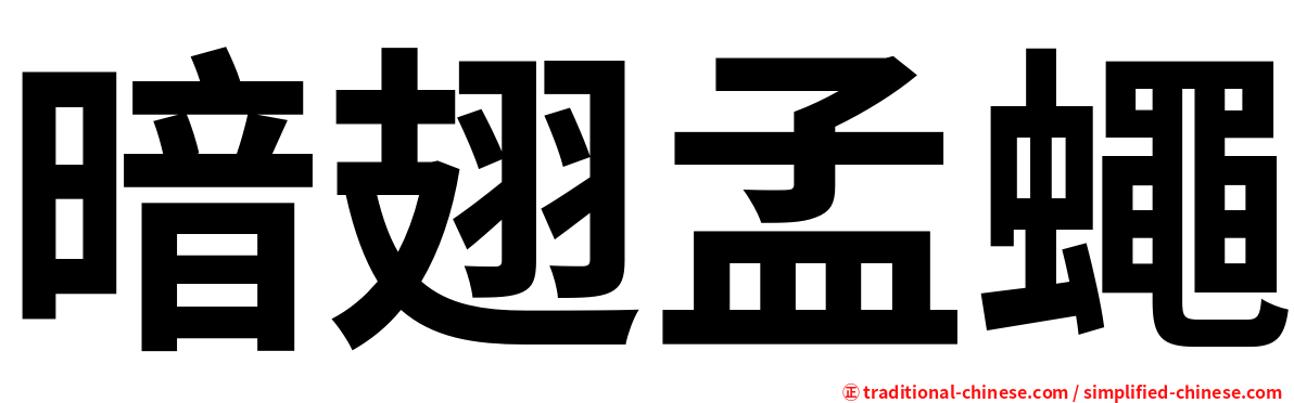 暗翅孟蠅