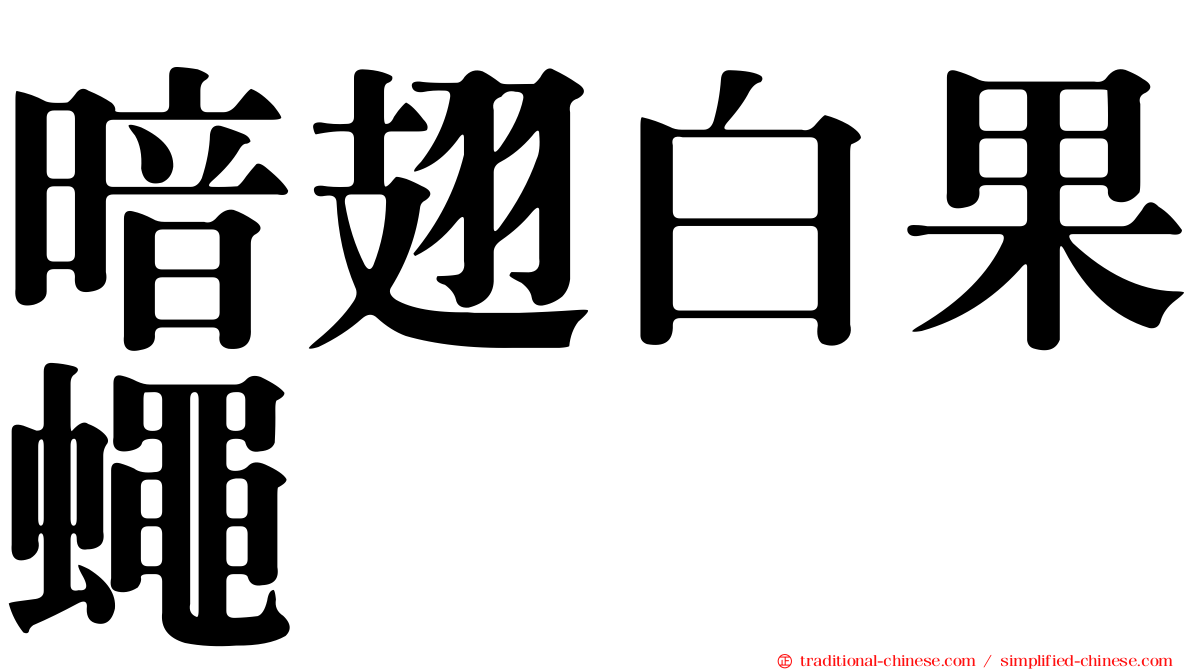 暗翅白果蠅