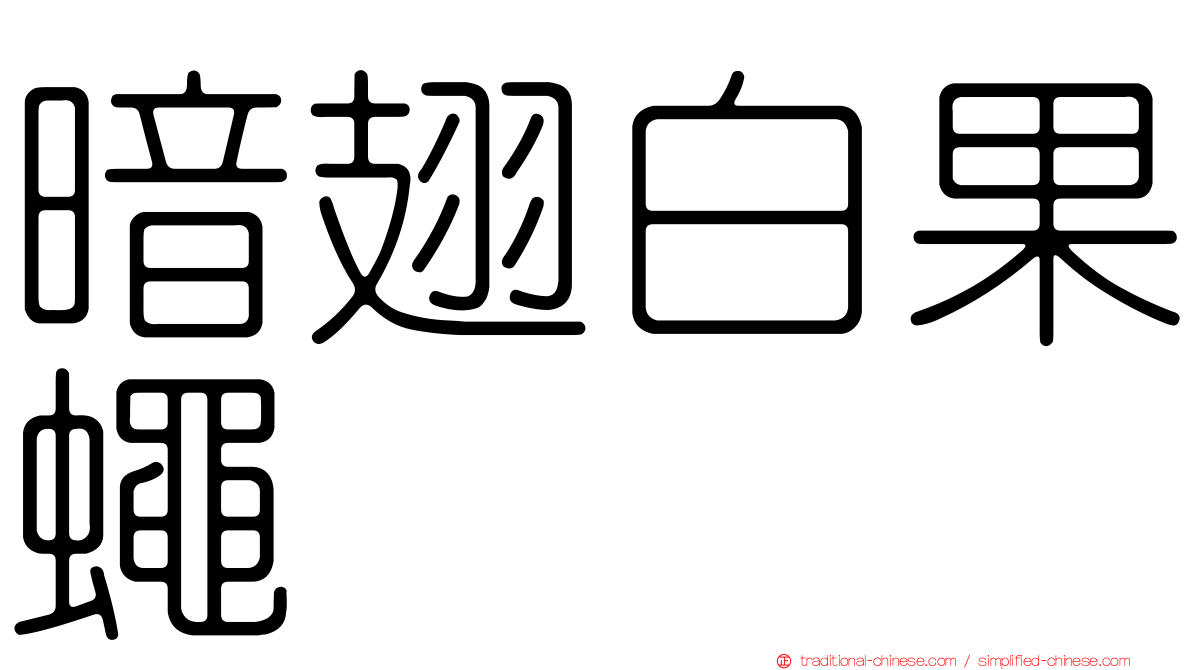 暗翅白果蠅