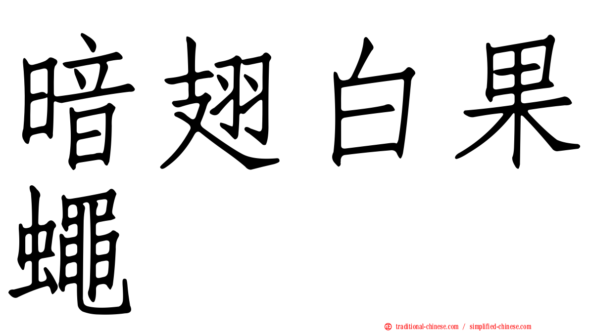 暗翅白果蠅