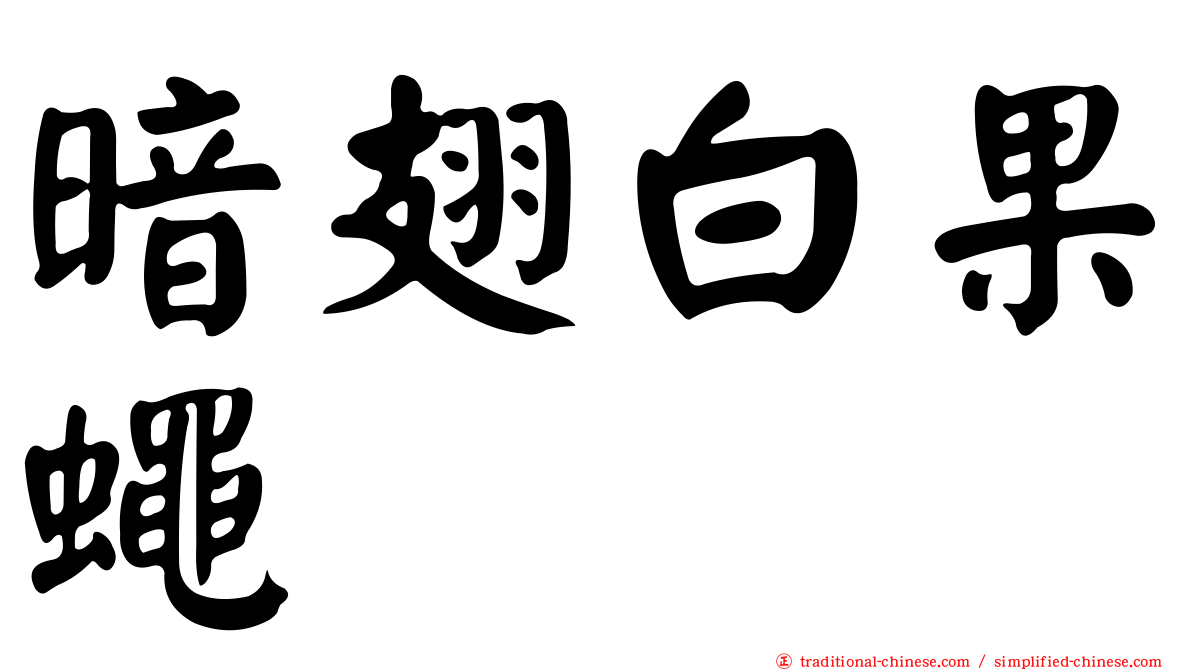 暗翅白果蠅