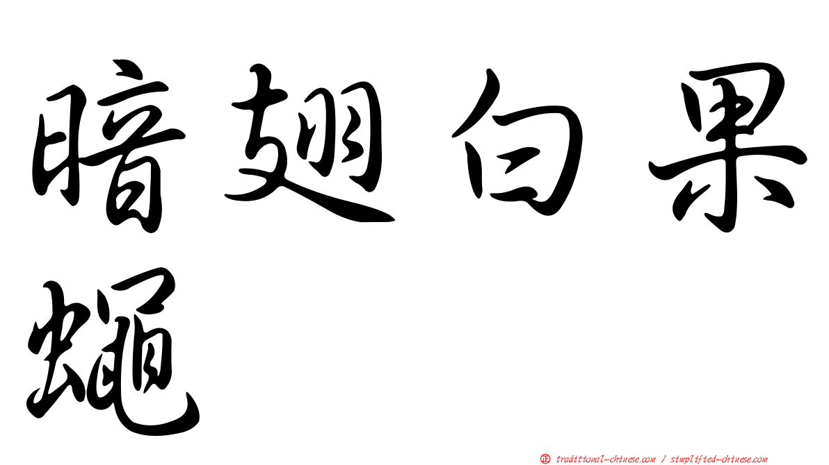 暗翅白果蠅