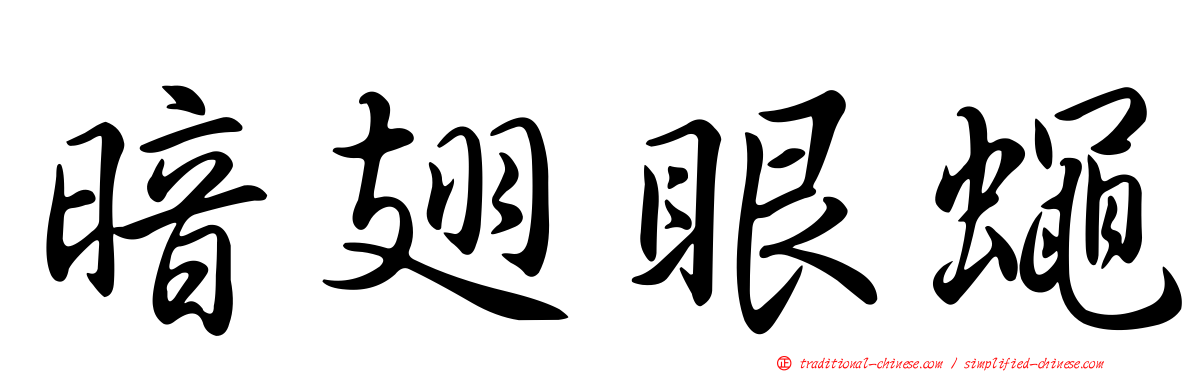 暗翅眼蠅