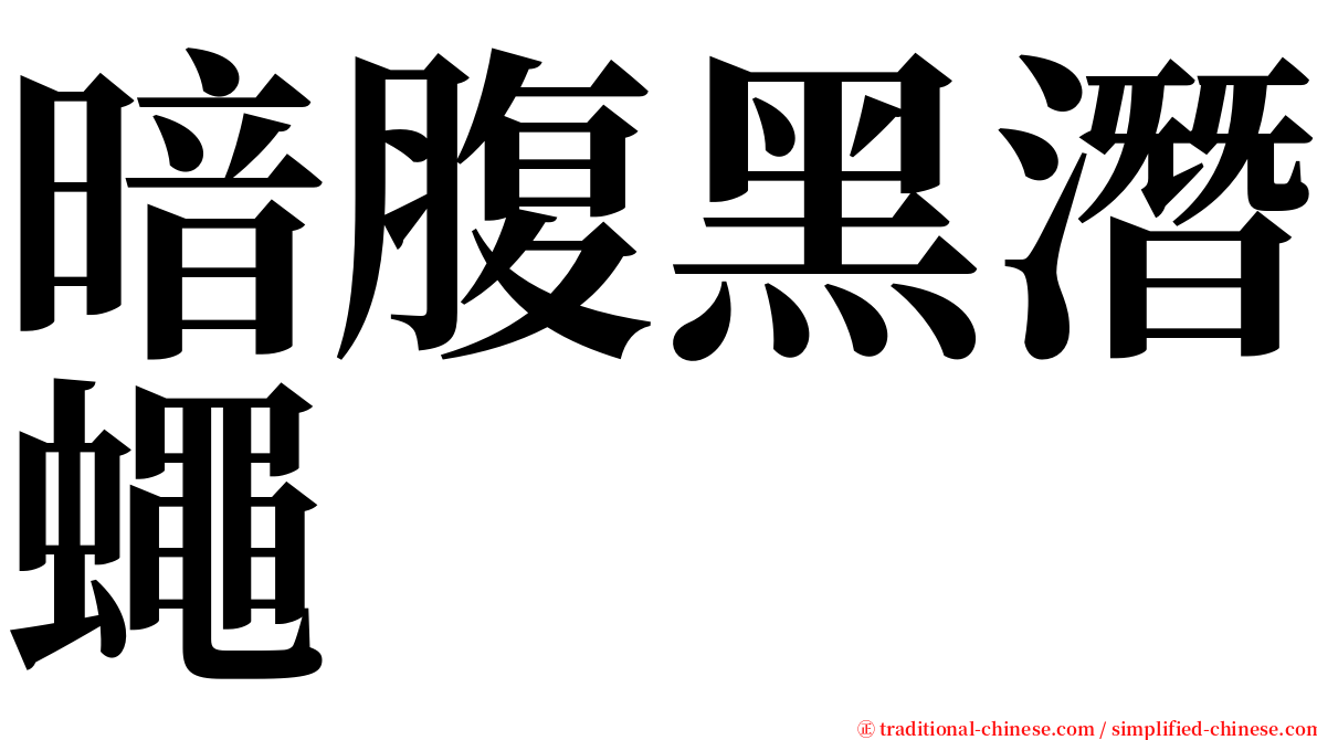 暗腹黑潛蠅 serif font