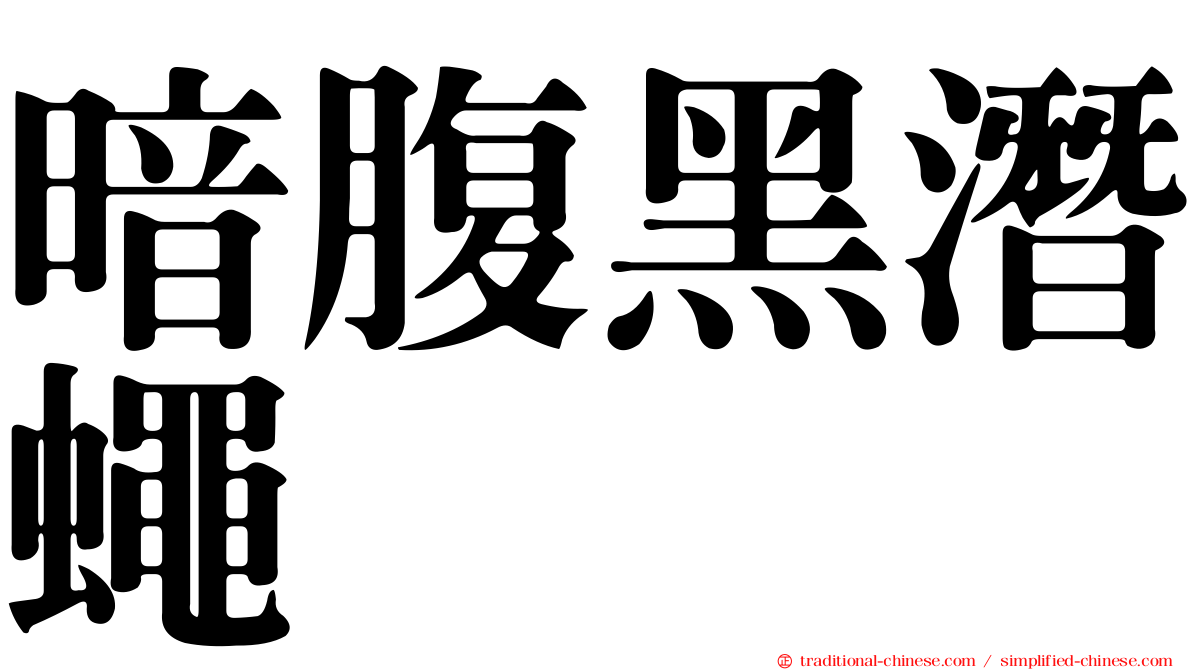 暗腹黑潛蠅