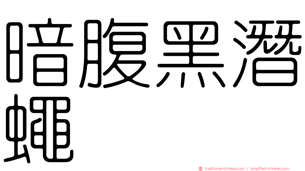 暗腹黑潛蠅