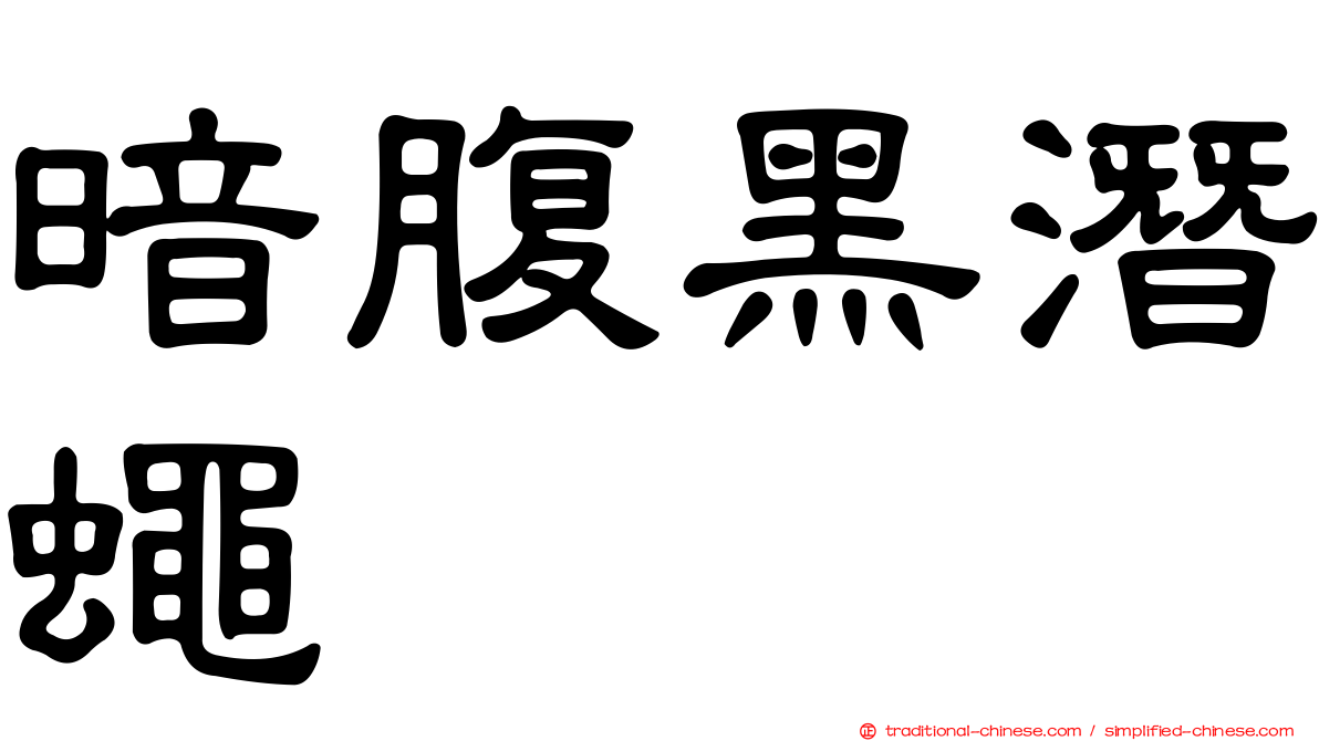 暗腹黑潛蠅