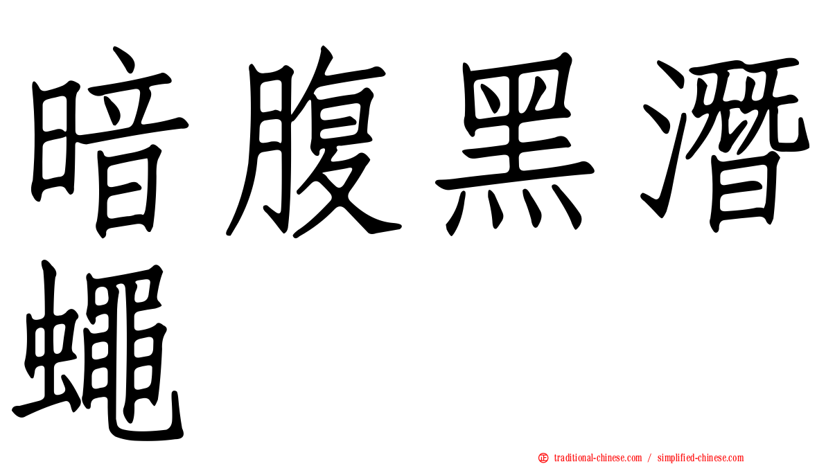 暗腹黑潛蠅