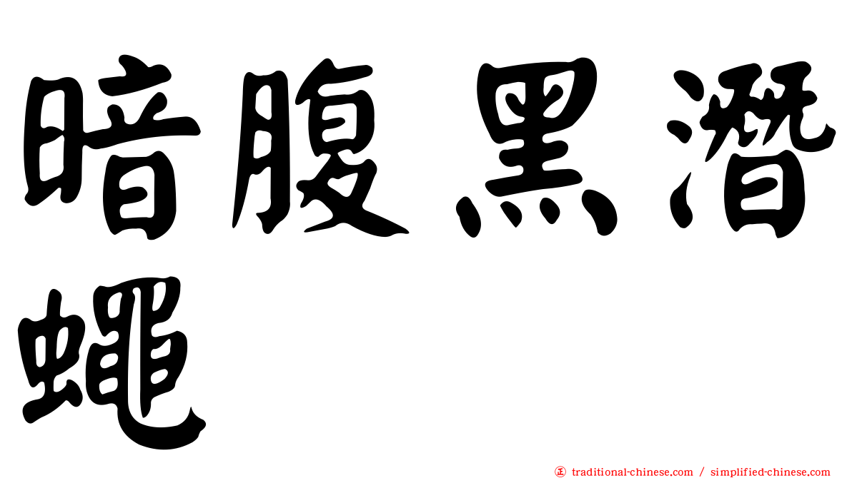 暗腹黑潛蠅