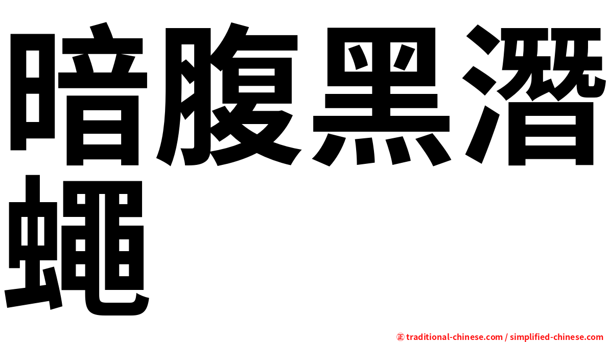 暗腹黑潛蠅