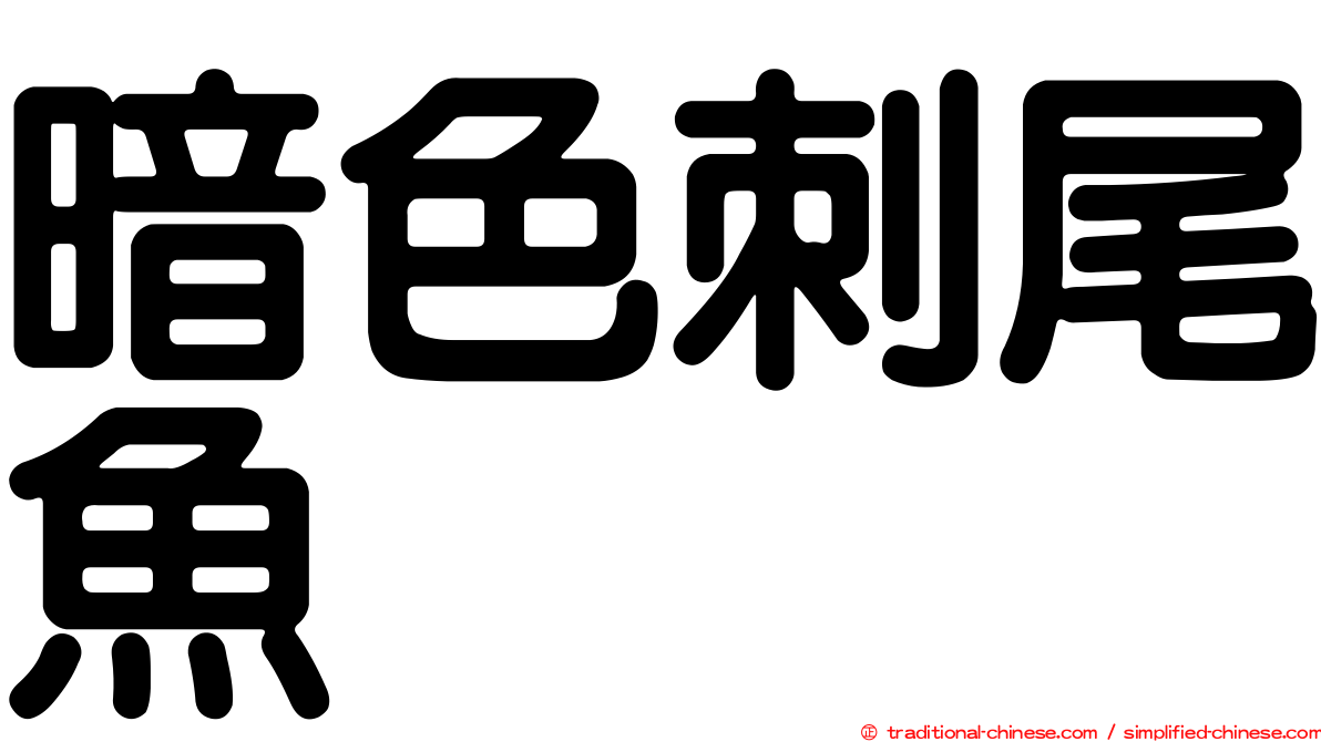 暗色刺尾魚