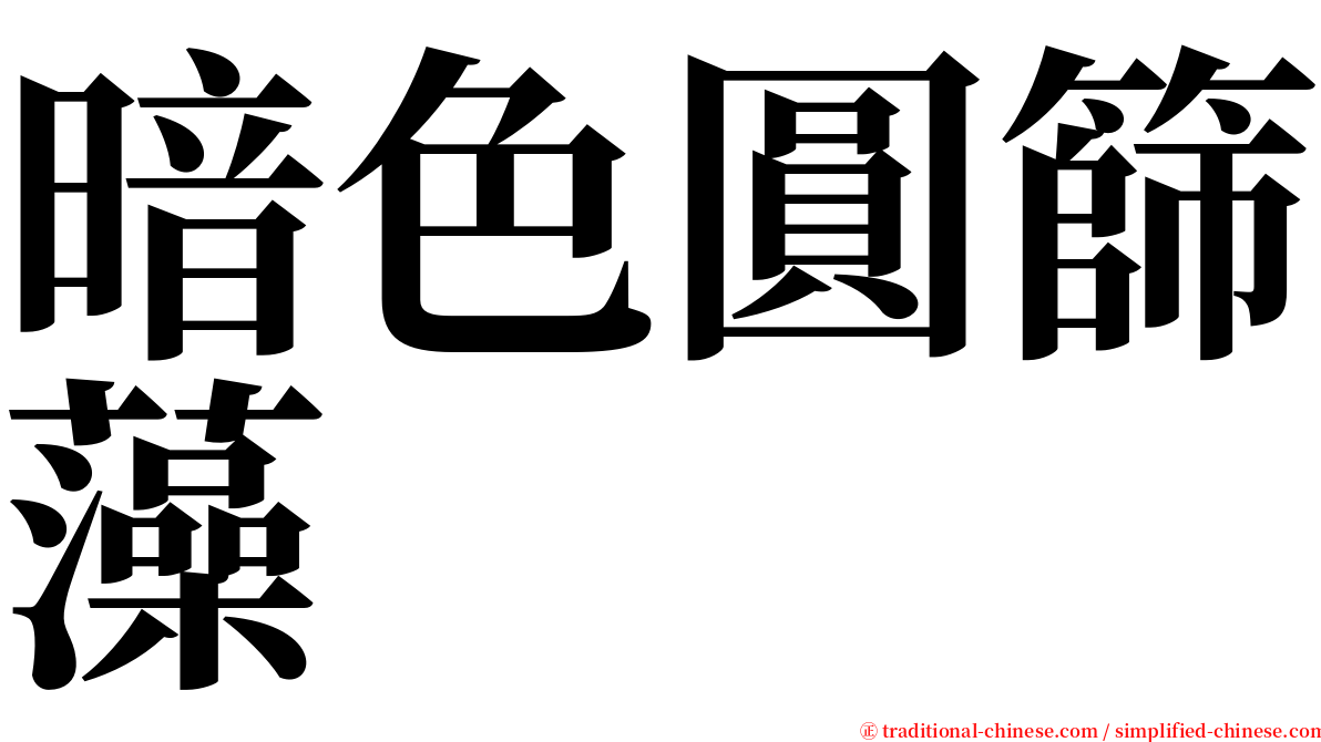 暗色圓篩藻 serif font