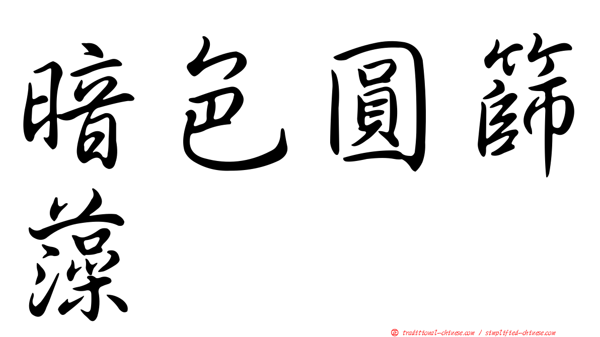 暗色圓篩藻