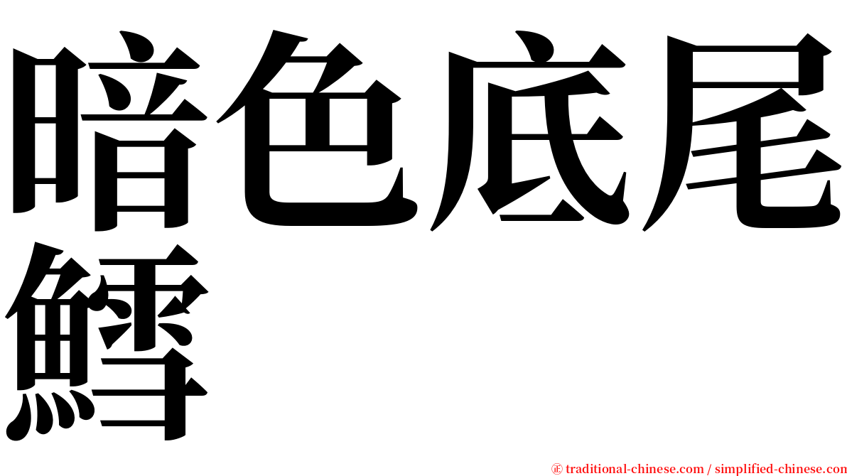 暗色底尾鱈 serif font