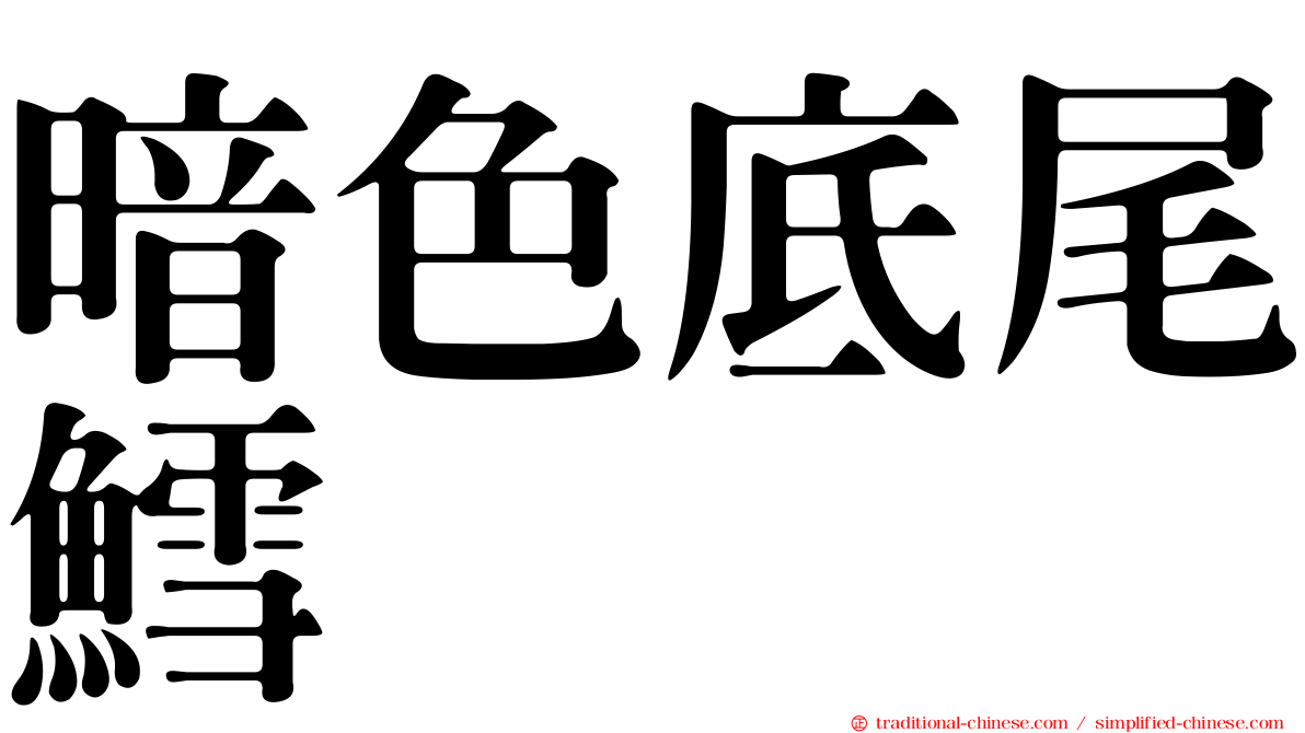 暗色底尾鱈
