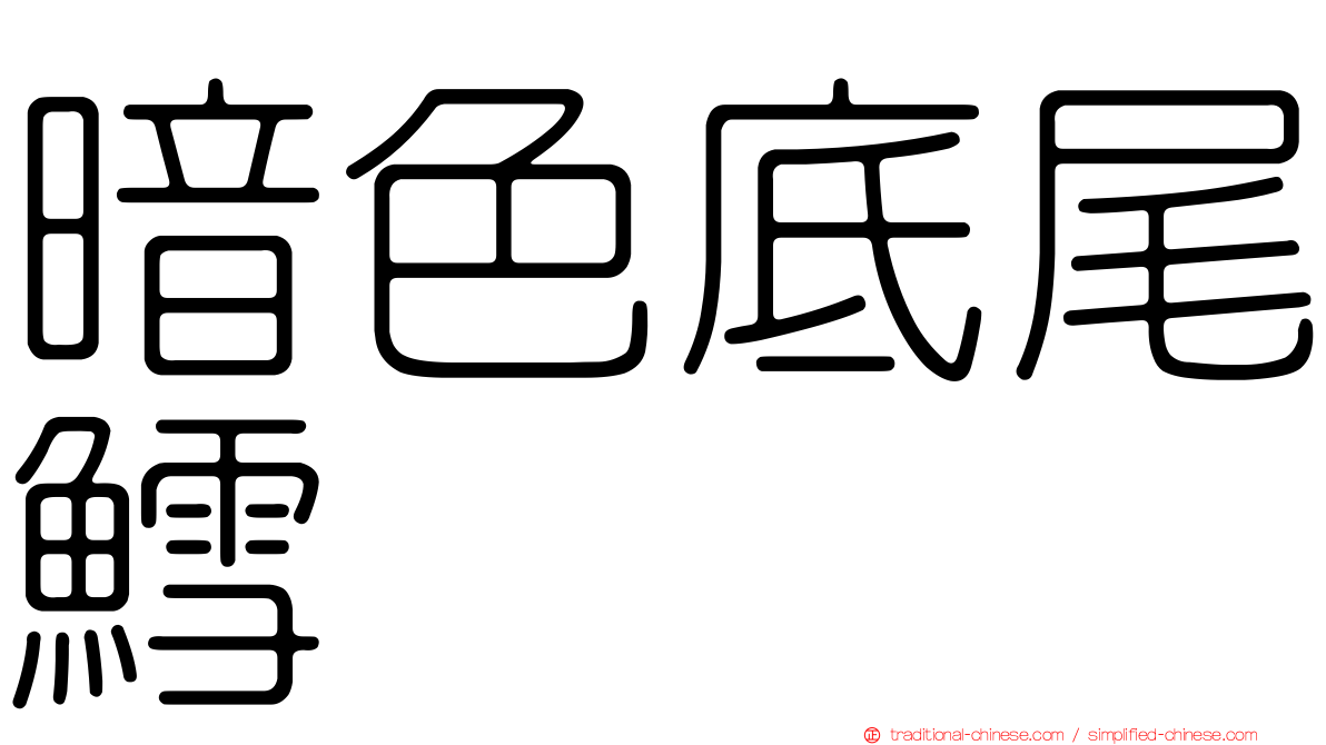 暗色底尾鱈
