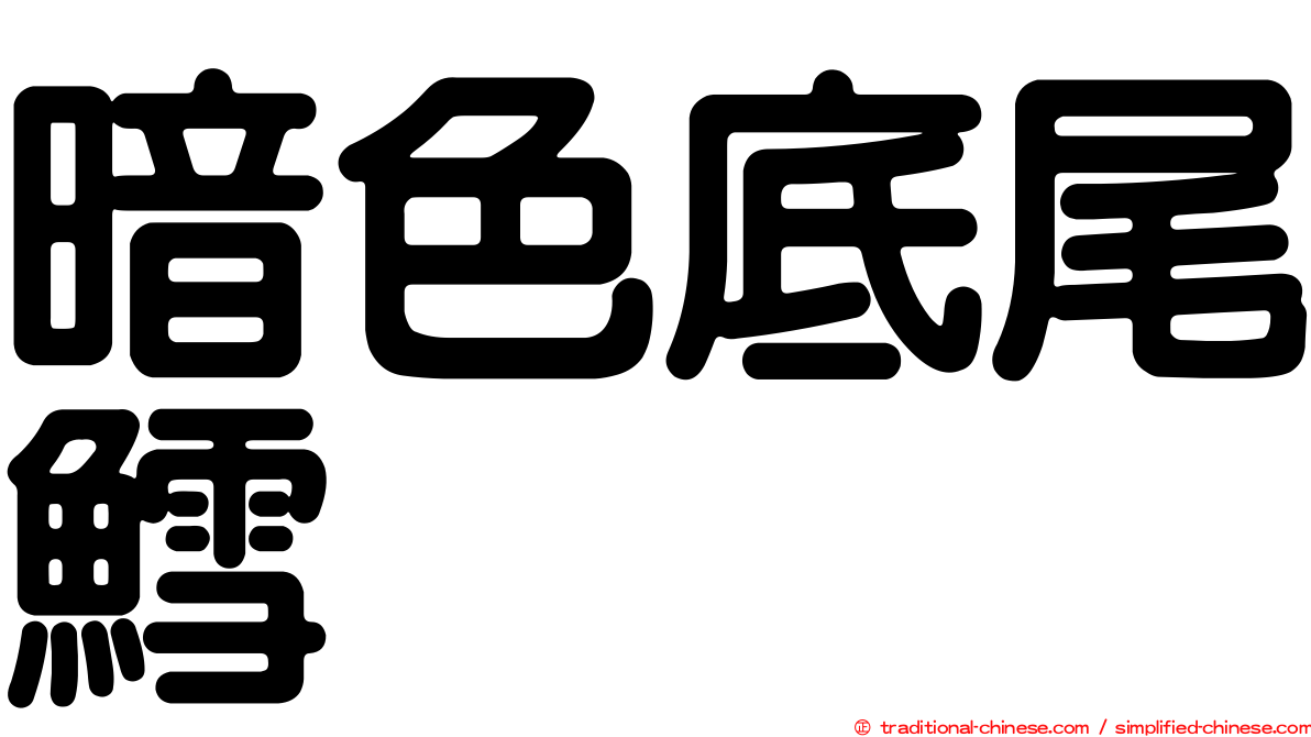 暗色底尾鱈