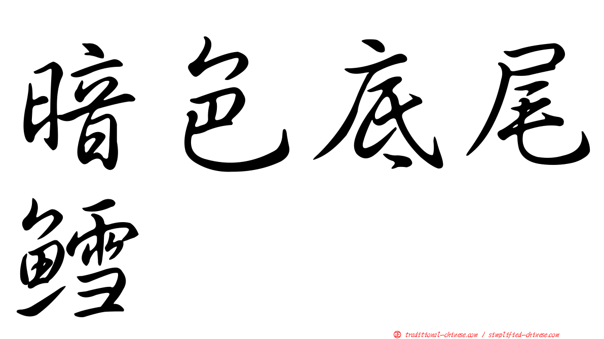 暗色底尾鱈