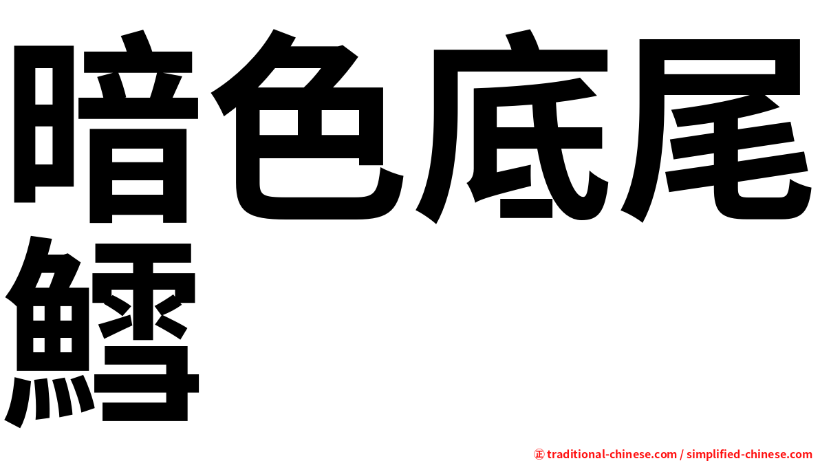 暗色底尾鱈