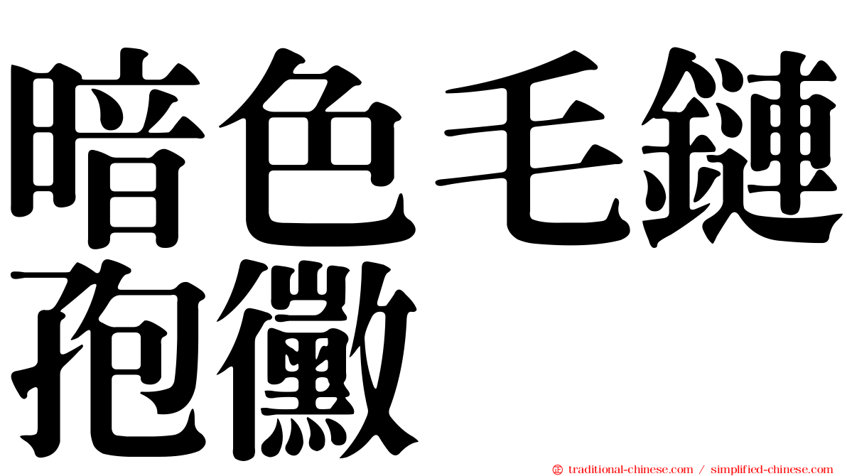 暗色毛鏈孢黴