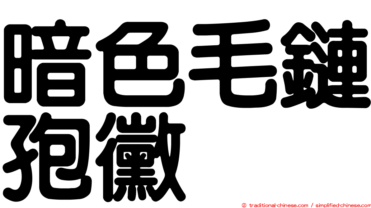暗色毛鏈孢黴