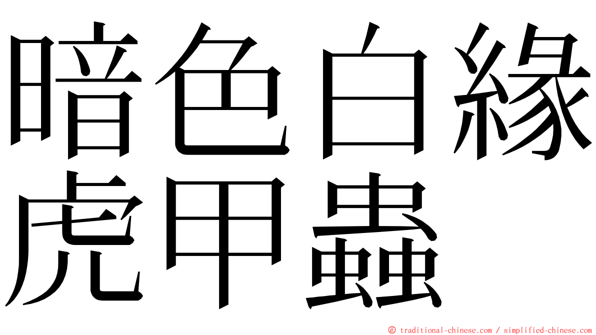 暗色白緣虎甲蟲 ming font