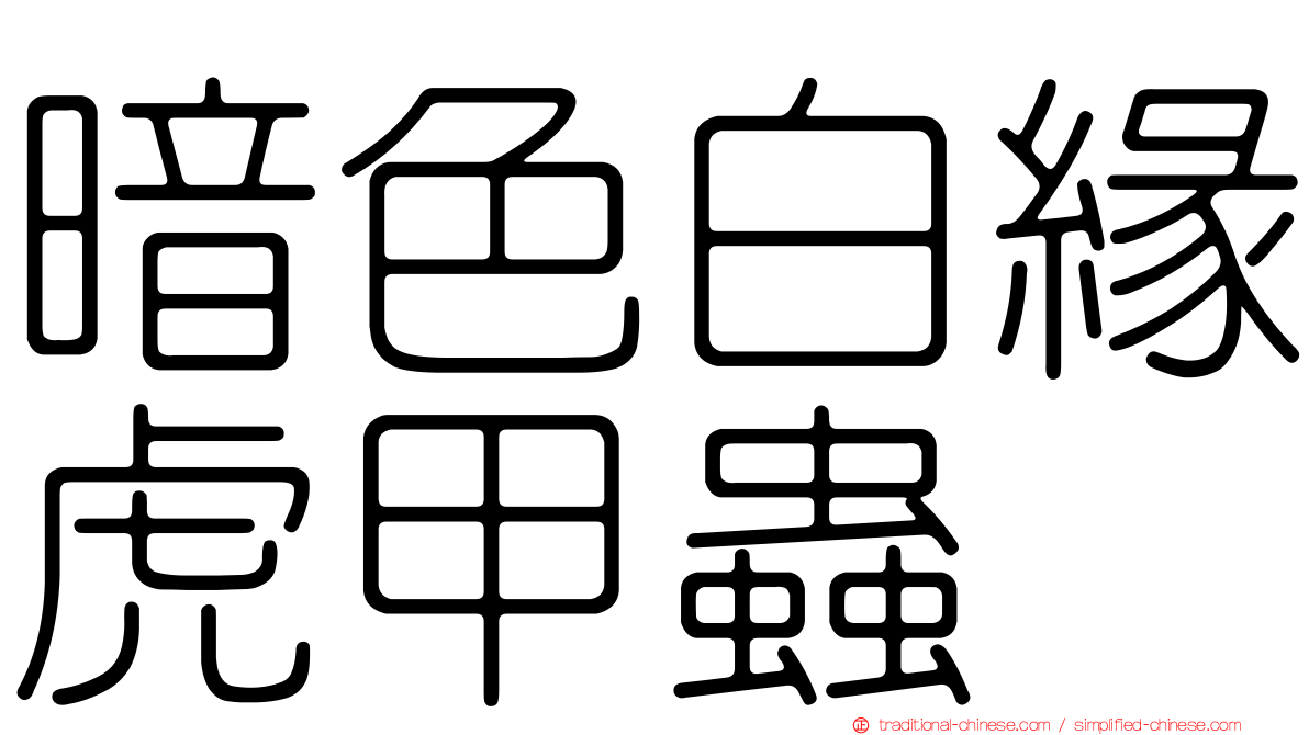 暗色白緣虎甲蟲